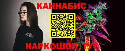стаф Лесосибирск
