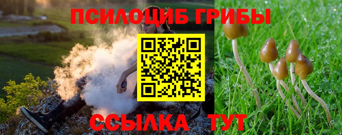 Галлюциногенные грибы GOLDEN TEACHER  Галлюциногенные грибы Psilocybe  Калуга  Вход с VPN 