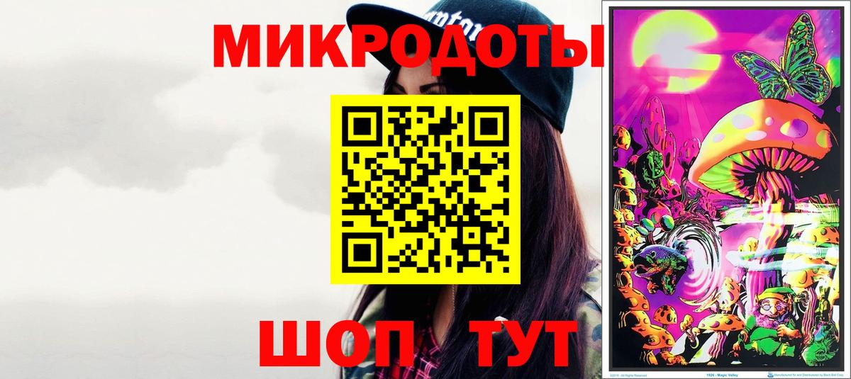 Галлюциногенные грибы Psilocybe Калуга